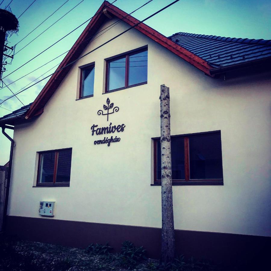 Famíves vendégház Racu Exterior foto